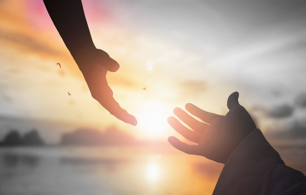 إختبار الموقع